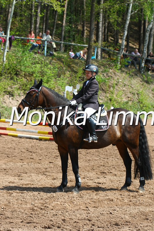 204M2778_Harding_Spring RWB.JPG